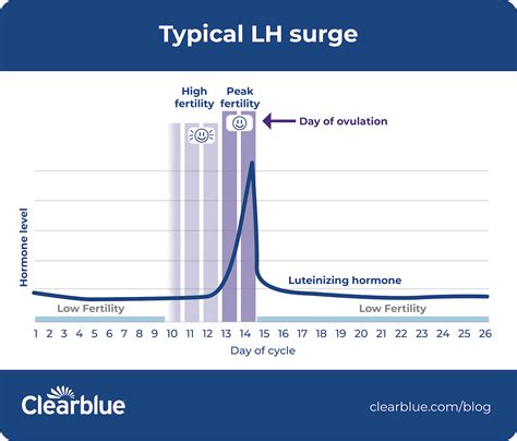 what does lh means.